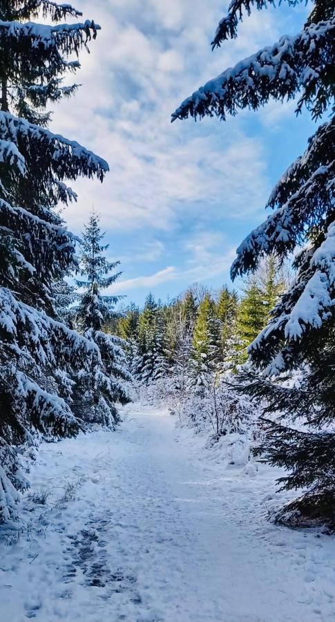 Apartman Lipno - Dve Zatoky Frymburk Luaran gambar